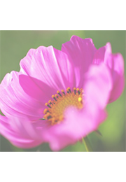 ナレーション収録,録音,中村琴音,音声,音声ガイド