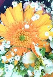 低価格,ナレーション録音,ナレーション収録,ナレーター,夏子,音声,音声ガイド