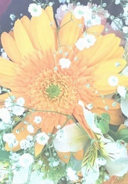 低価格,ナレーション録音,ナレーション収録,ナレーター,夏子,音声,音声ガイド