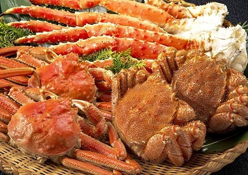 LIVESTOCK_Masters of Voice